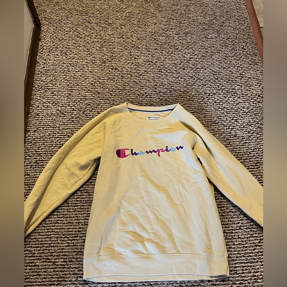 Champion sweat shirt